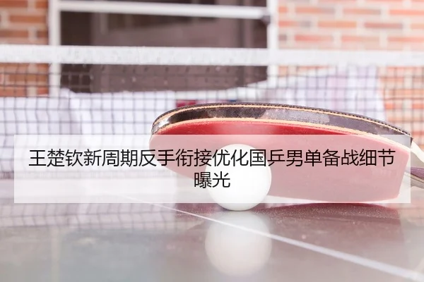 王楚钦新周期反手衔接优化国乒男单备战细节曝光